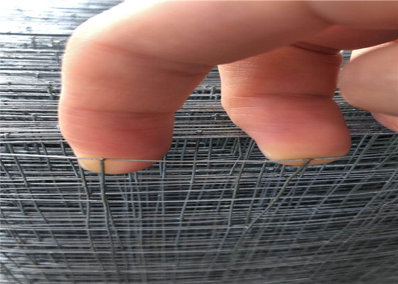 1mx30m 1.24mm Galvanised Welded Wire Mesh