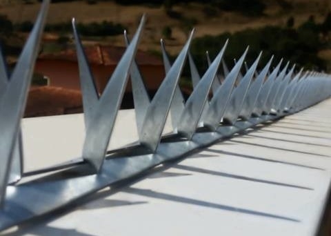 Barb L64mm Barb Thickness 0.8mm Fence Wall Spikes