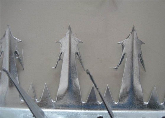 1m Length Large Sized SGS Hot Dipped Galvanized Anti Climb Wall Spike For Security