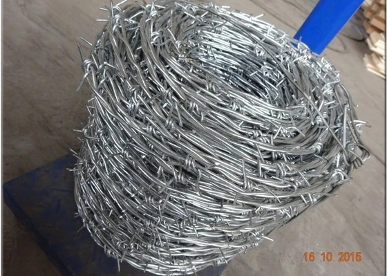 Hot-Dipped Galvanized Barbed Wire for Airport Prison Security Fence