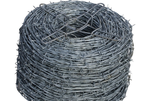 Hot-Dipped Galvanized Barbed Wire for Airport Prison Security Fence