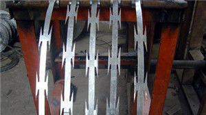 Hot Dipped Galvanized Concertina Razor Wire Cbt Series