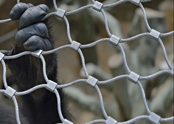 Hot Sale Flexible Stainless Steel Rope Mesh Wire Rope Mesh