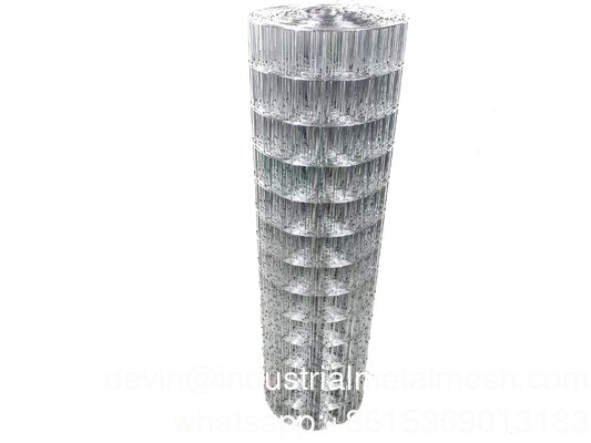 Stainless Steel 304/316/Galvanized/PVC Coated Welded Wire Mesh for Building