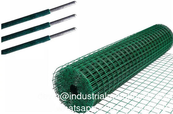 Galvanized Wire Fence PVC Coated Square Hole Welded Wire Mesh Roll for Chicken