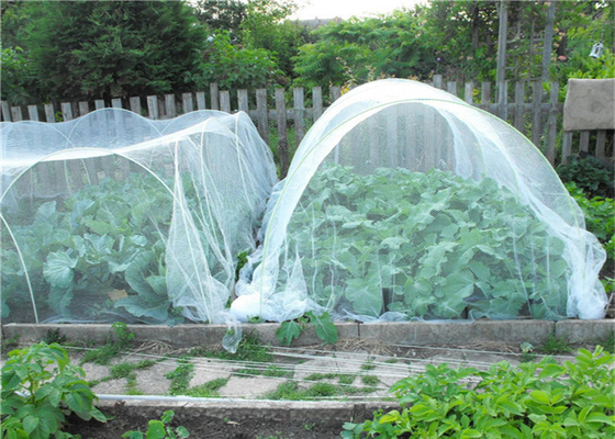Horticulture Hdpe Fly Screen Mesh Agriculture Growing Insect Proof Network 40 Mesh