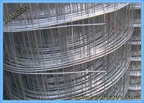 Hot Dip / Electro Galvanized Welded Wire Mesh 0.8mm * 1.5m High For Afghanistan